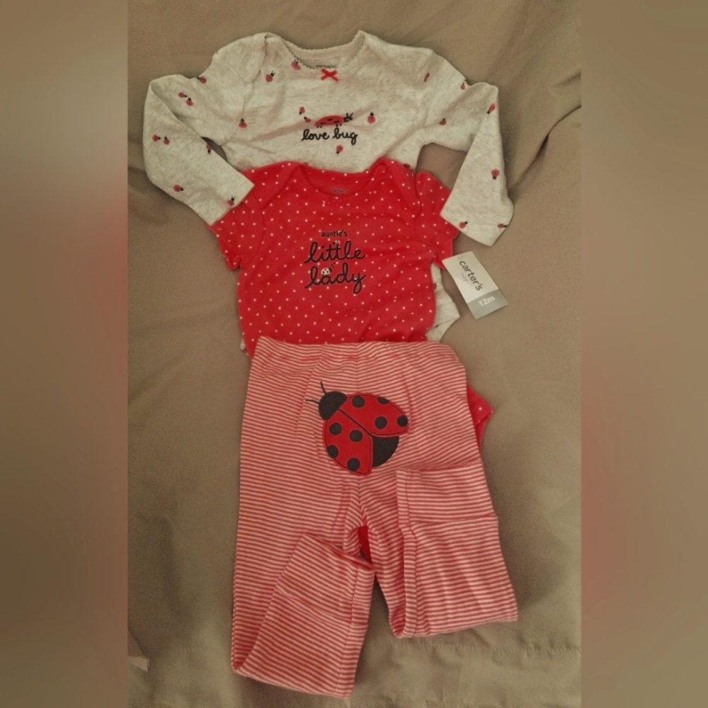 Baby girl lady bug set